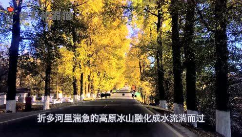 娱乐吃瓜君大丽花,揭秘娱乐圈背后的秘密花絮 第2张 娱乐吃瓜君大丽花,揭秘娱乐圈背后的秘密花絮 第2张