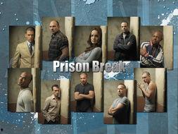 监狱风云美剧在线观看,美剧在线观看，揭秘铁窗背后的真实人生  第3张